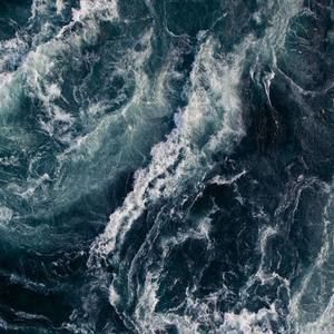 Meet your Posher, Jade